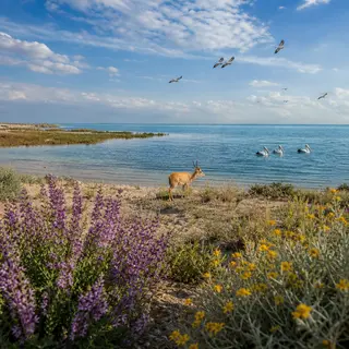 Aral Sea's Eastern Revival: A Story of Unexpected Resilience