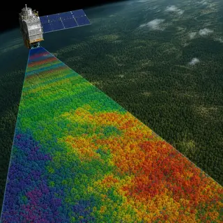 The Satellite That Listens to Dying Forests Scream