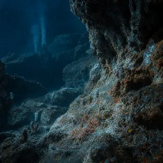 The Bacteria That Eat Electricity and Breathe Rock