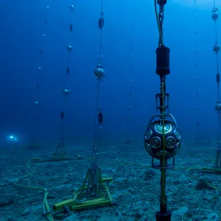 The Neutrino Detector Buried Under the Mediterranean