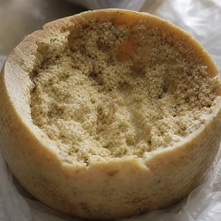 Casu Martzu: The Cultural and Scientific Enigma of Cheese